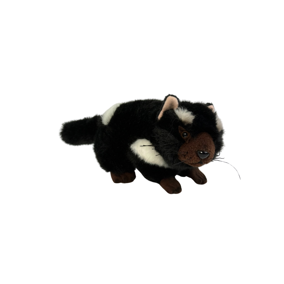 Bocchetta Tazzy 18cm Tasmanian Devil Plush Toy (Australian Stuffed Animal Souvenir Gift)