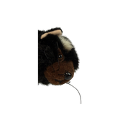 Bocchetta Tazzy 18cm Tasmanian Devil Plush Toy (Australian Stuffed Animal Souvenir Gift)