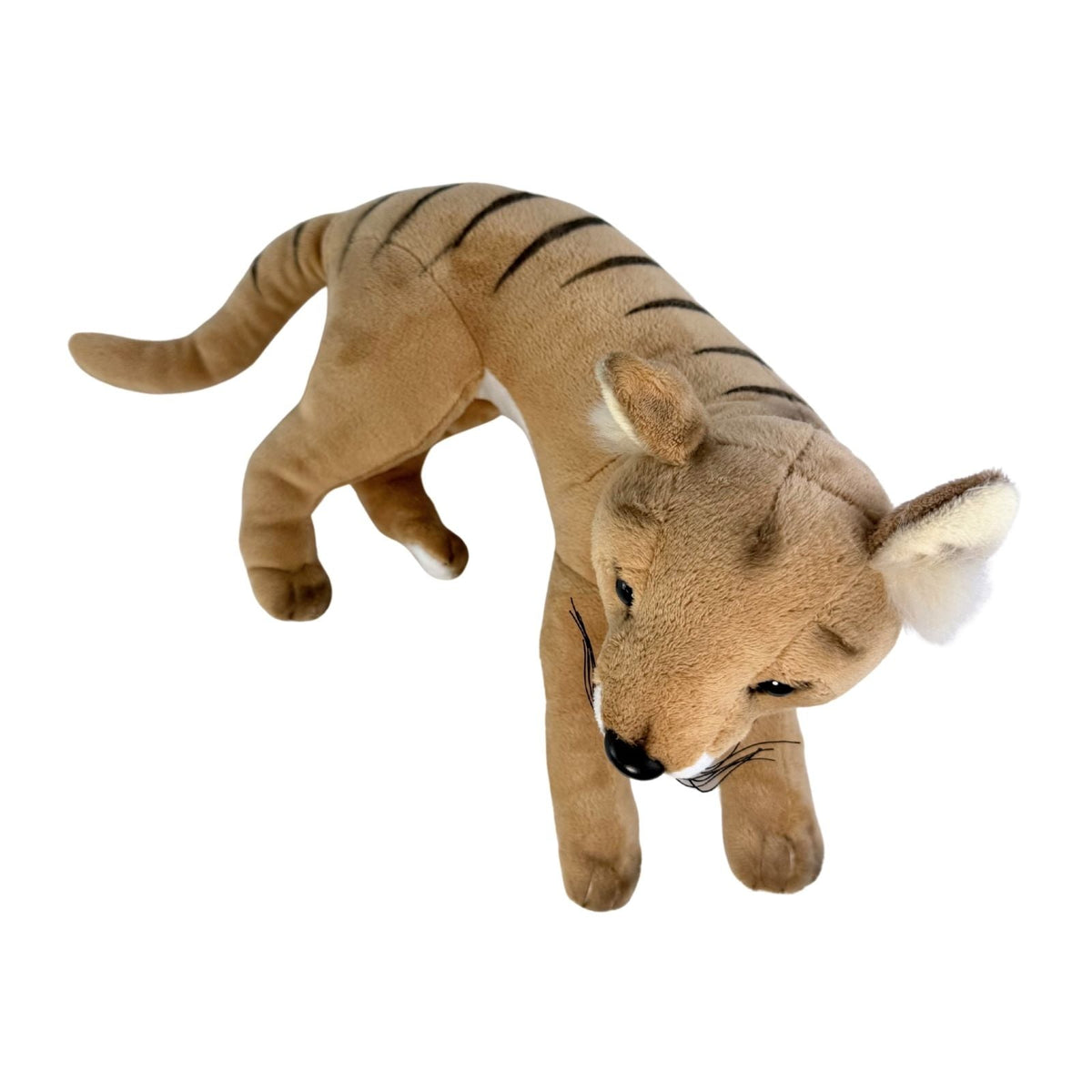 Bocchetta Theo 40cm Lying Tasmanian Tiger Plush Toy (Australian Stuffed Animal Souvenir Gift)