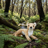 Bocchetta Theo 40cm Lying Tasmanian Tiger Plush Toy (Australian Stuffed Animal Souvenir Gift)