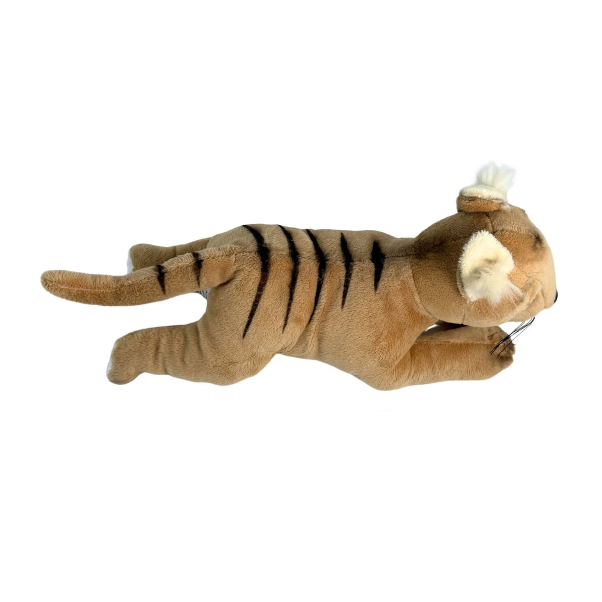 Bocchetta Tigger 33cm Floppy Tasmanian Tiger Plush Toy (Australian Stuffed Animal Souvenir Gift)