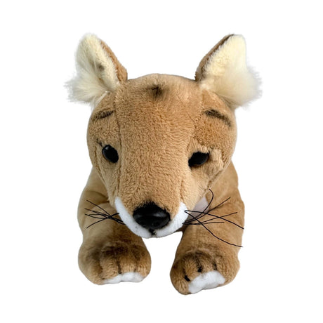 4x Bocchetta Tigger 33cm Floppy Tasmanian Tiger Plush Toy Bulk Pack (Australian Stuffed Animal Souvenir Gift)