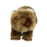 Bocchetta Tina 28cm Wombat Plush Toy (Australian Stuffed Animal Souvenir Gift)
