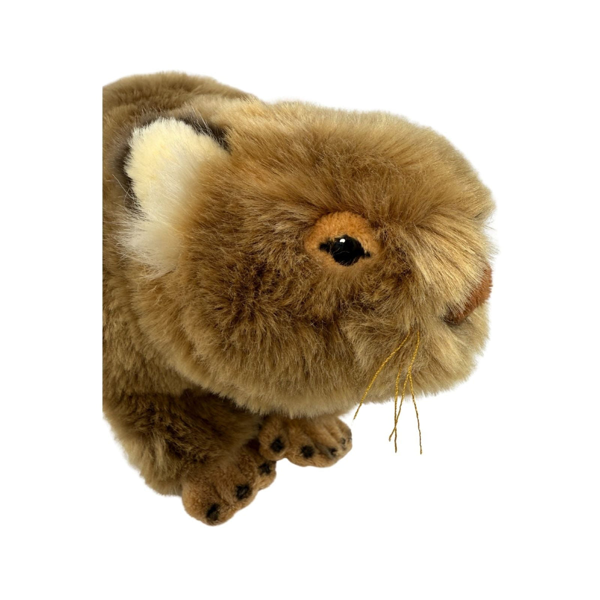 Bocchetta Tina 28cm Wombat Plush Toy (Australian Stuffed Animal Souvenir Gift)