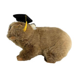 Bocchetta Tina 28cm Graduation Wombat Plush Toy (Stuffed Animal Grad Gift)