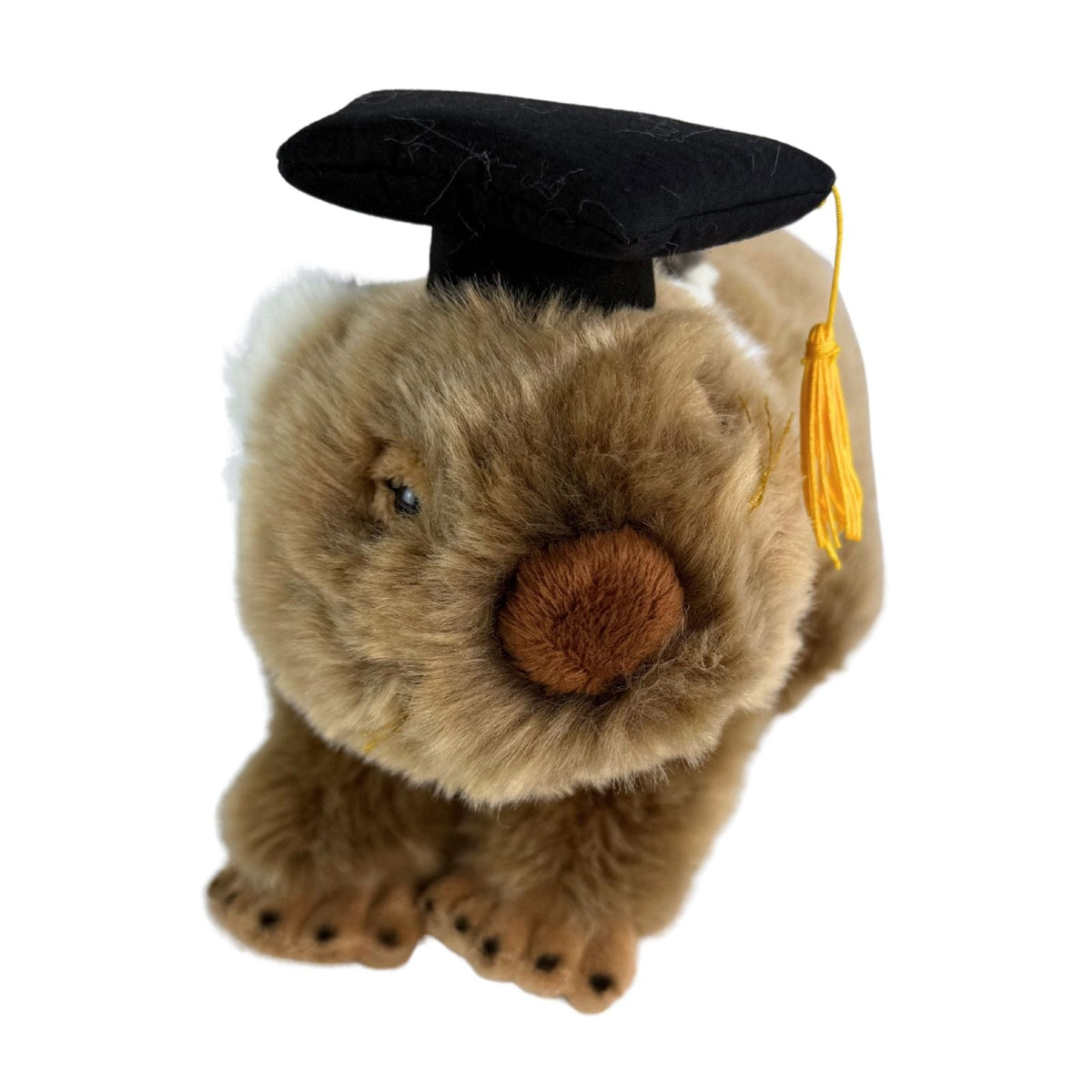 Bocchetta Tina 28cm Graduation Wombat Plush Toy (Stuffed Animal Grad Gift)