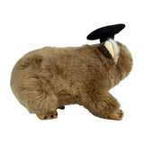Bocchetta Tina 28cm Graduation Wombat Plush Toy (Stuffed Animal Grad Gift)
