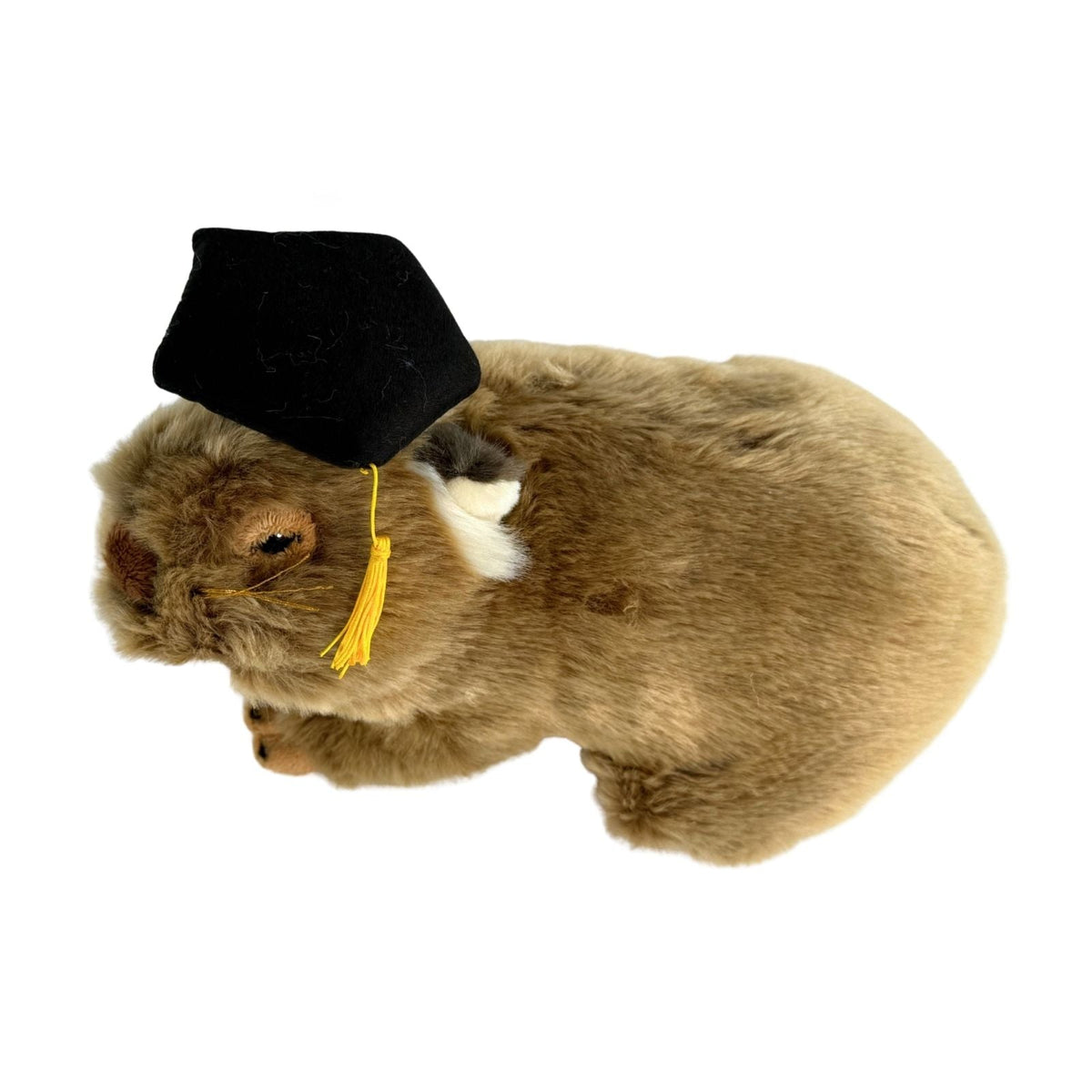 Bocchetta Tina 28cm Graduation Wombat Plush Toy (Stuffed Animal Grad Gift)