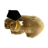 Bocchetta Tina 28cm Graduation Wombat Plush Toy (Stuffed Animal Grad Gift)