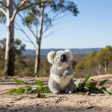 Bocchetta Tinker 23cm Standing Koala Plush Toy - Grey (Australian Stuffed Animal Souvenir Gift)