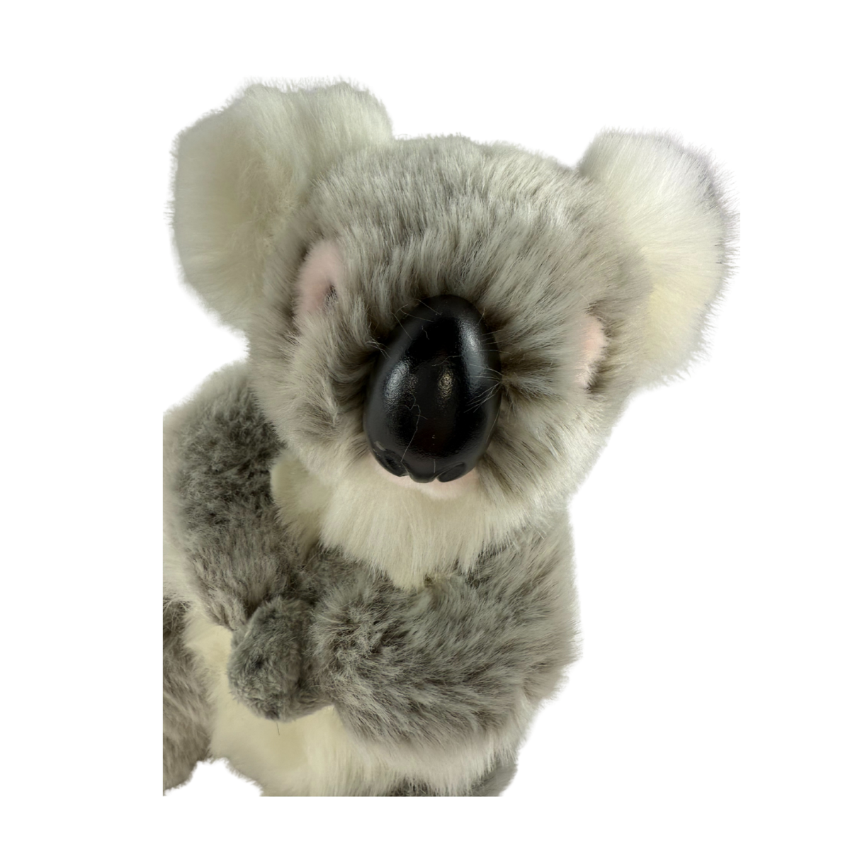 Bocchetta Tinker 23cm Standing Koala Plush Toy - Grey (Australian Stuffed Animal Souvenir Gift)