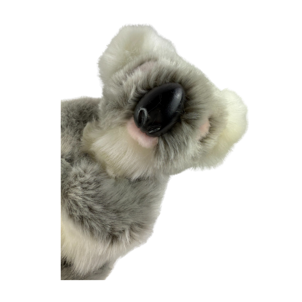Bocchetta Tinker 23cm Standing Koala Plush Toy - Grey (Australian Stuffed Animal Souvenir Gift)