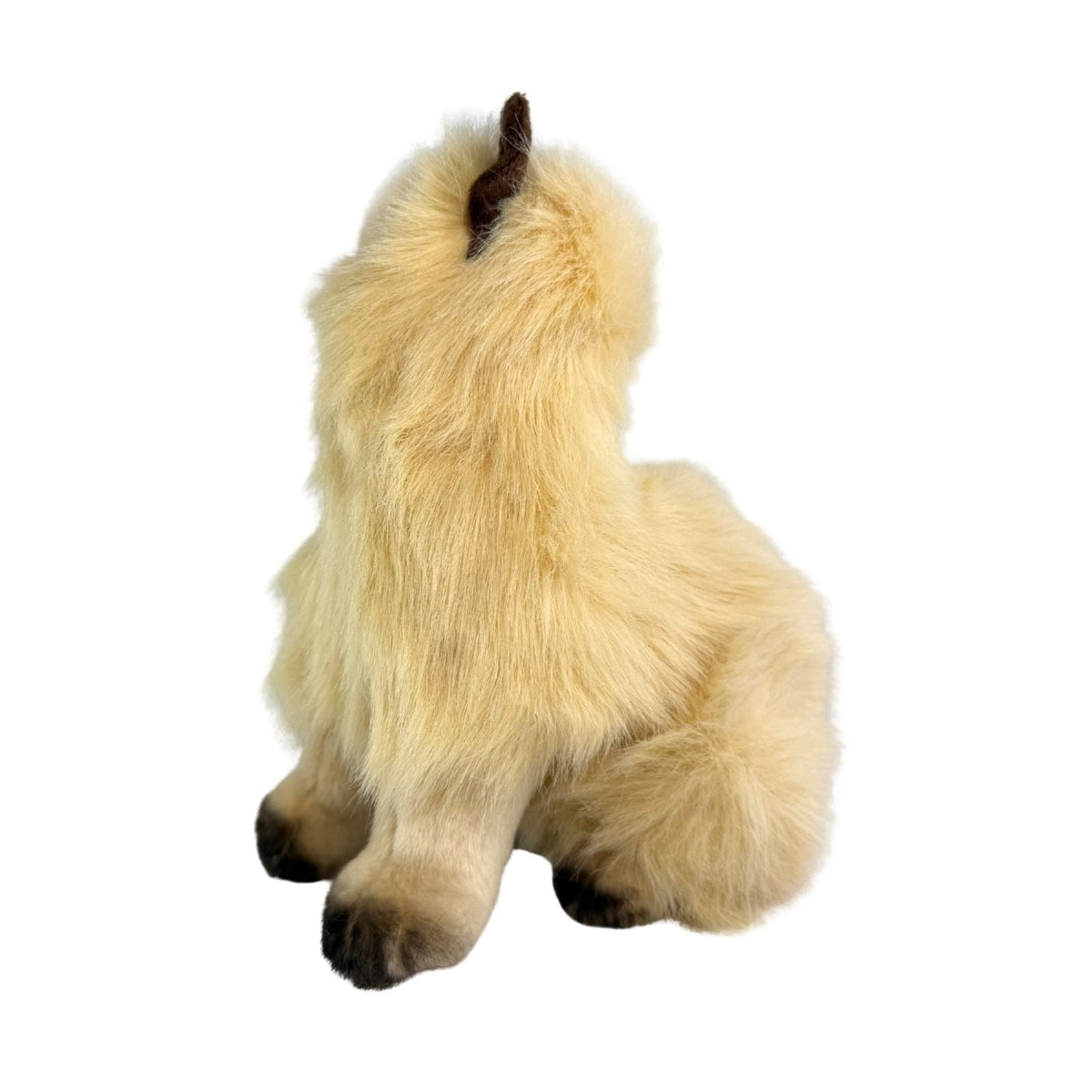 Bocchetta Toffee 34cm Sitting Himalayan Cat Plush Toy - Cream (Realistic Stuffed Animal Cat Gift)