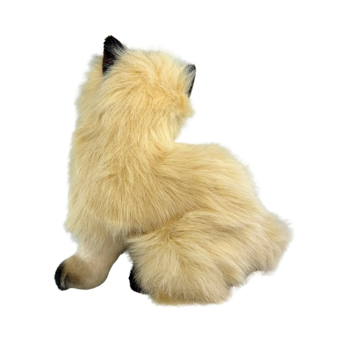 Bocchetta Toffee 34cm Sitting Himalayan Cat Plush Toy - Cream (Realistic Stuffed Animal Cat Gift)