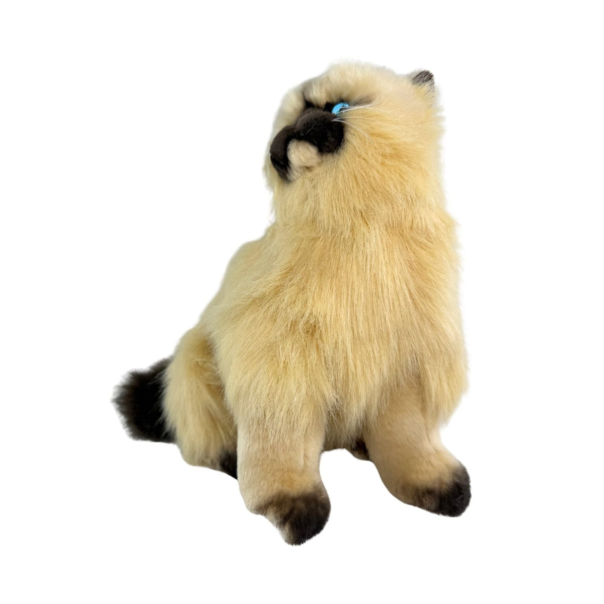 Bocchetta Toffee 34cm Sitting Himalayan Cat Plush Toy - Cream (Realistic Stuffed Animal Cat Gift)