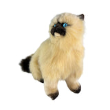 Bocchetta Toffee 34cm Sitting Himalayan Cat Plush Toy - Cream (Realistic Stuffed Animal Cat Gift)