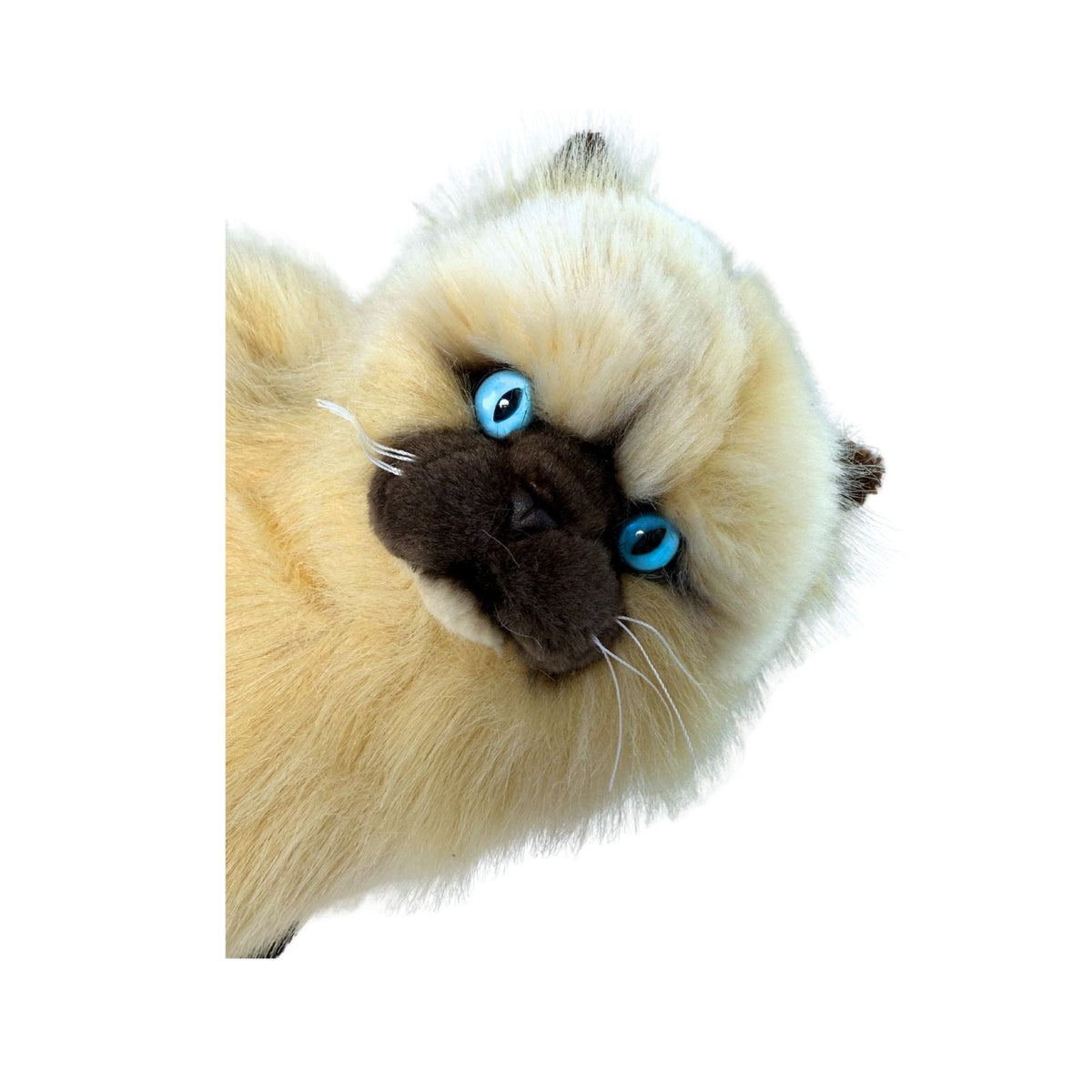 Bocchetta Toffee 34cm Sitting Himalayan Cat Plush Toy - Cream (Realistic Stuffed Animal Cat Gift)
