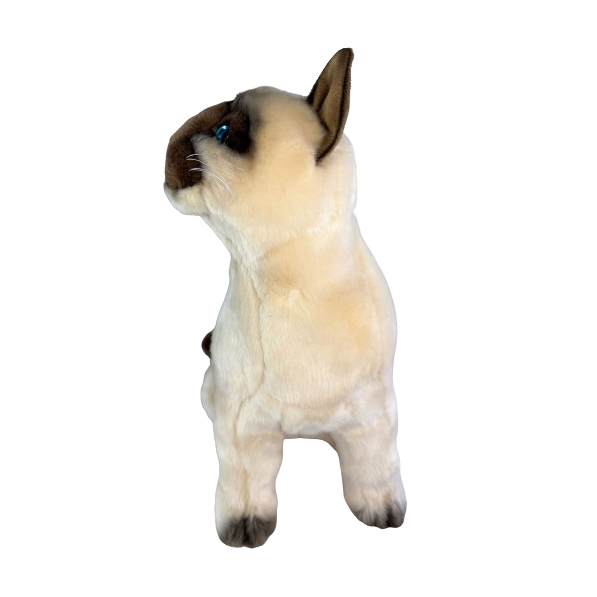 Bocchetta Tulip 36cm Sitting Siamese Cat Plush Toy (Realistic Stuffed Animal Cat Gift)