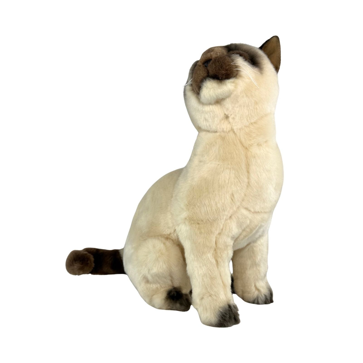 Bocchetta Tulip 36cm Sitting Siamese Cat Plush Toy (Realistic Stuffed Animal Cat Gift)