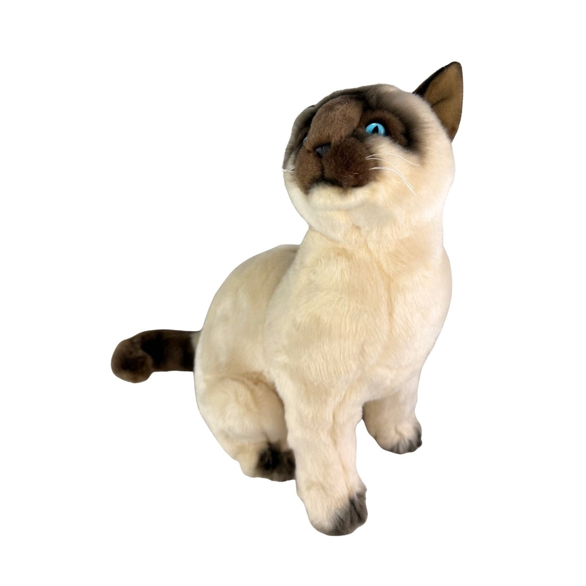 Bocchetta Tulip 36cm Sitting Siamese Cat Plush Toy (Realistic Stuffed Animal Cat Gift)