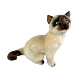 Bocchetta Tulip 36cm Sitting Siamese Cat Plush Toy (Realistic Stuffed Animal Cat Gift)