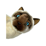 Bocchetta Tulip 36cm Sitting Siamese Cat Plush Toy (Realistic Stuffed Animal Cat Gift)