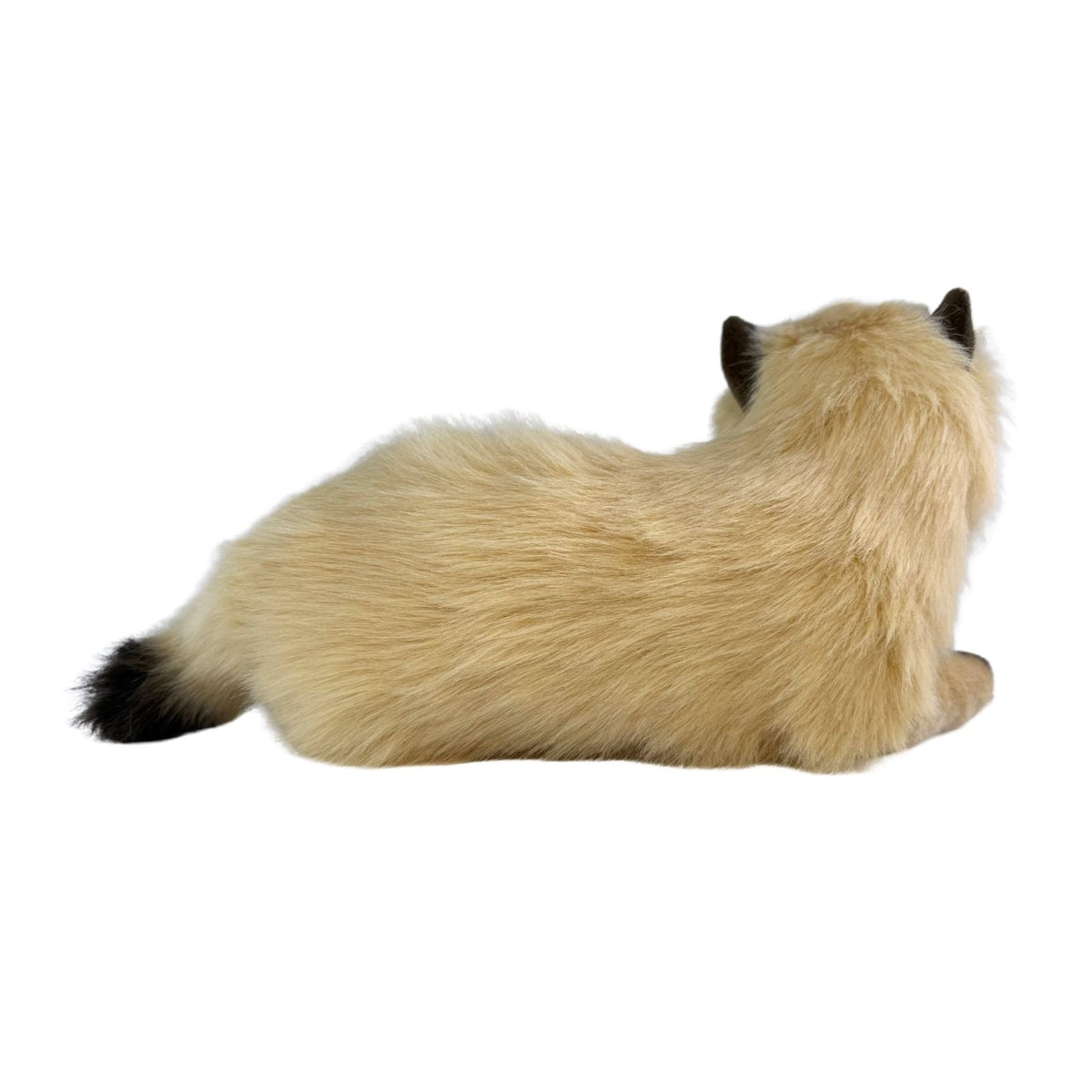 Bocchetta Violet 38cm Lying Himalayan Cat Plush Toy - Cream (Realistic Stuffed Animal Cat Gift)