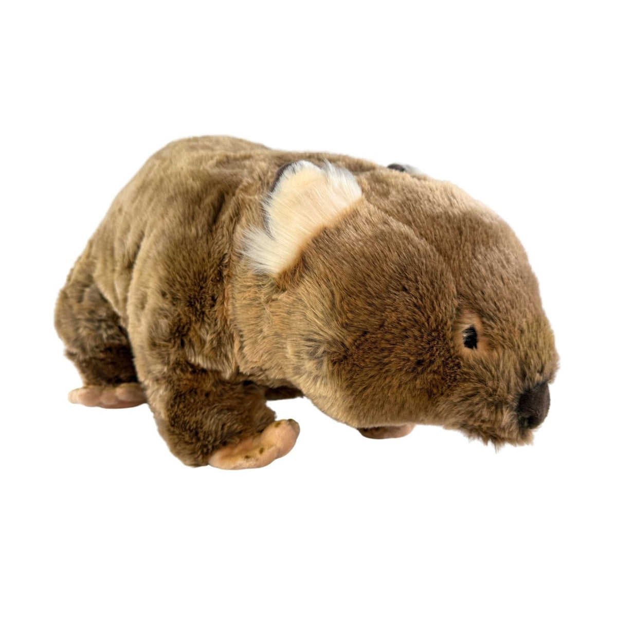 Bocchetta Wallis 55cm Wombat with Satin Pocket Plush Toy (Australian Stuffed Animal Souvenir Gift)
