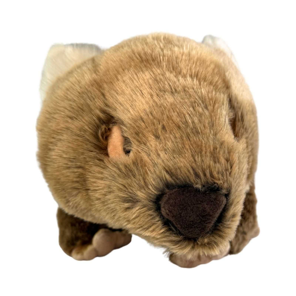 Bocchetta Wallis 55cm Wombat with Satin Pocket Plush Toy (Australian Stuffed Animal Souvenir Gift)