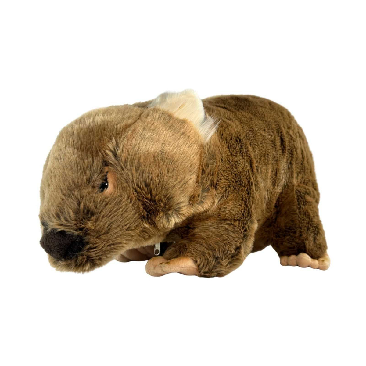 Bocchetta Wallis 55cm Wombat with Satin Pocket Plush Toy (Australian Stuffed Animal Souvenir Gift)