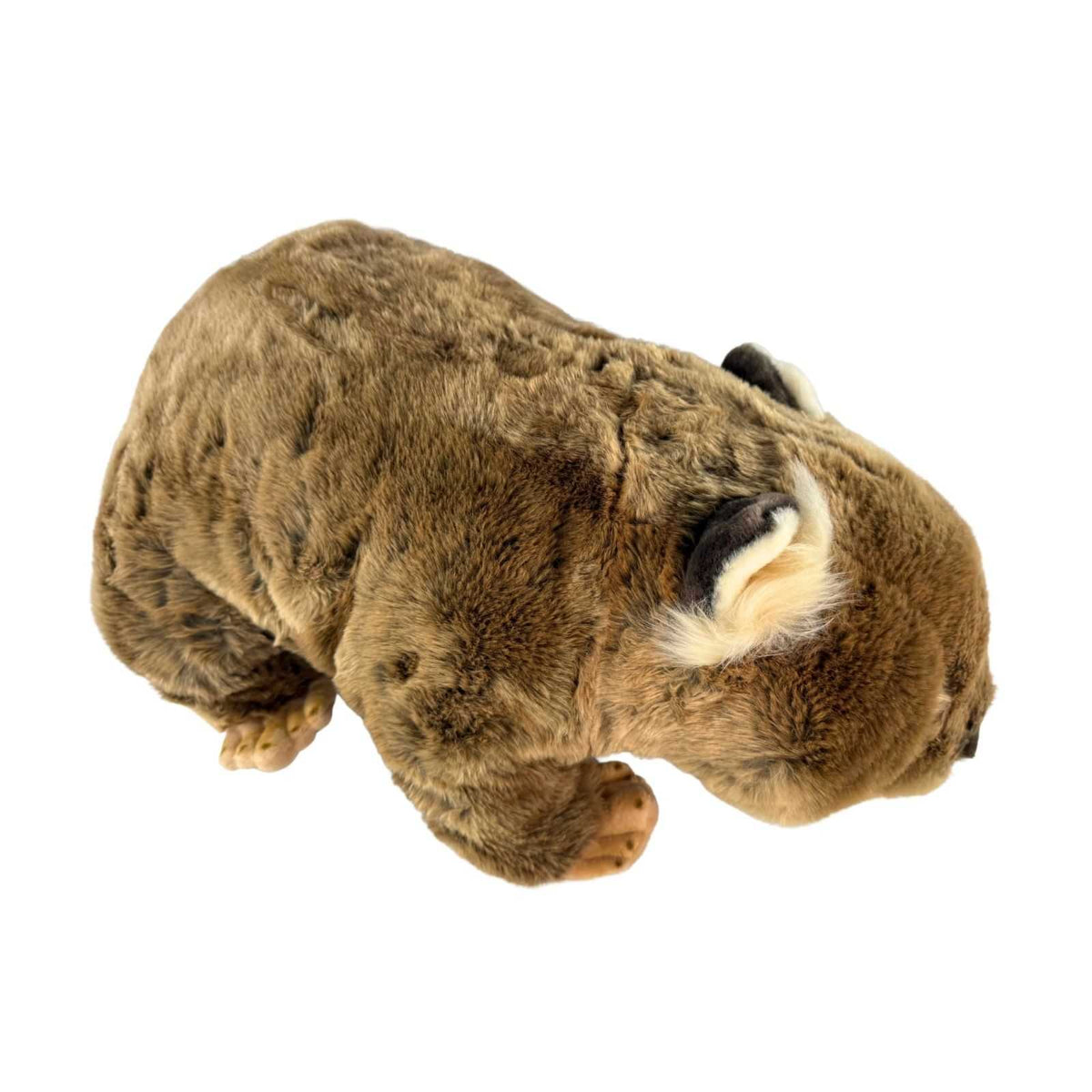 Bocchetta Wallis 55cm Wombat with Satin Pocket Plush Toy (Australian Stuffed Animal Souvenir Gift)