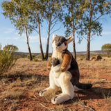 Bocchetta Wattle 30cm Rock Wallaby with Joey Plush Toy (Australian Stuffed Animal Souvenir Gift)