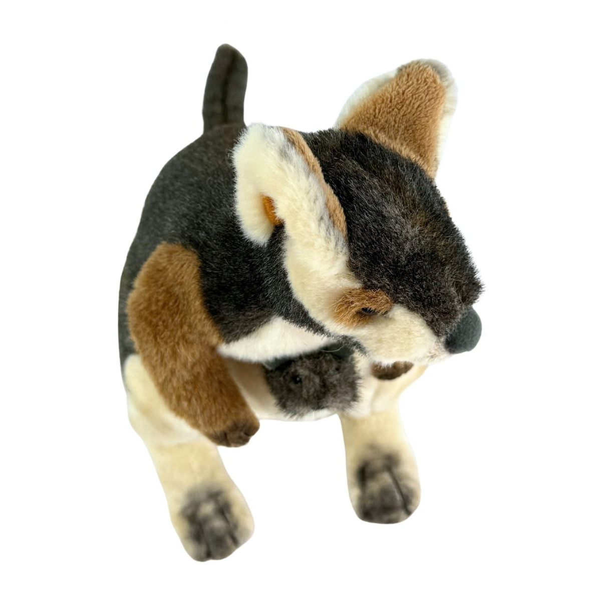Bocchetta Wattle 30cm Rock Wallaby with Joey Plush Toy (Australian Stuffed Animal Souvenir Gift)