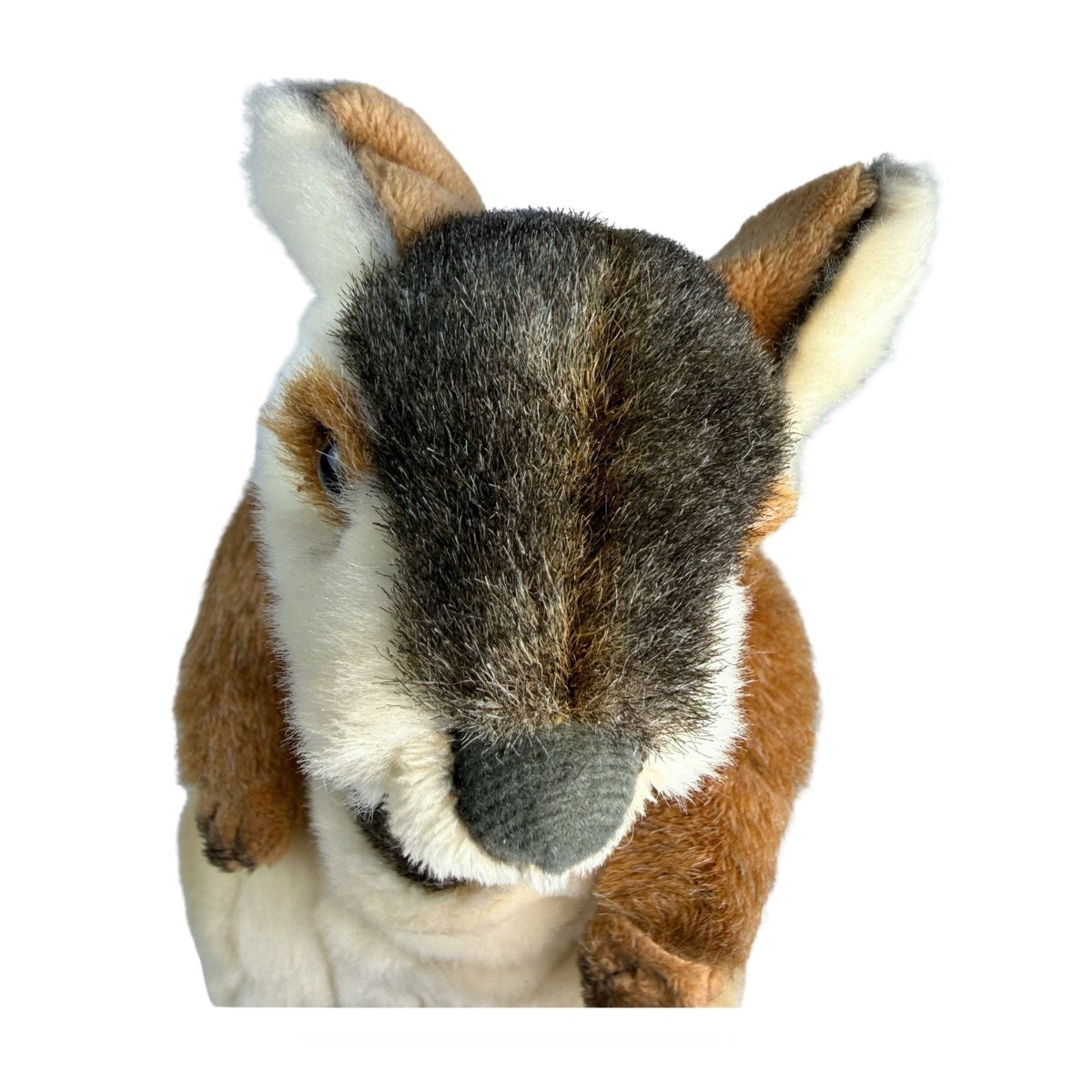 Bocchetta Wattle 30cm Rock Wallaby with Joey Plush Toy (Australian Stuffed Animal Souvenir Gift)