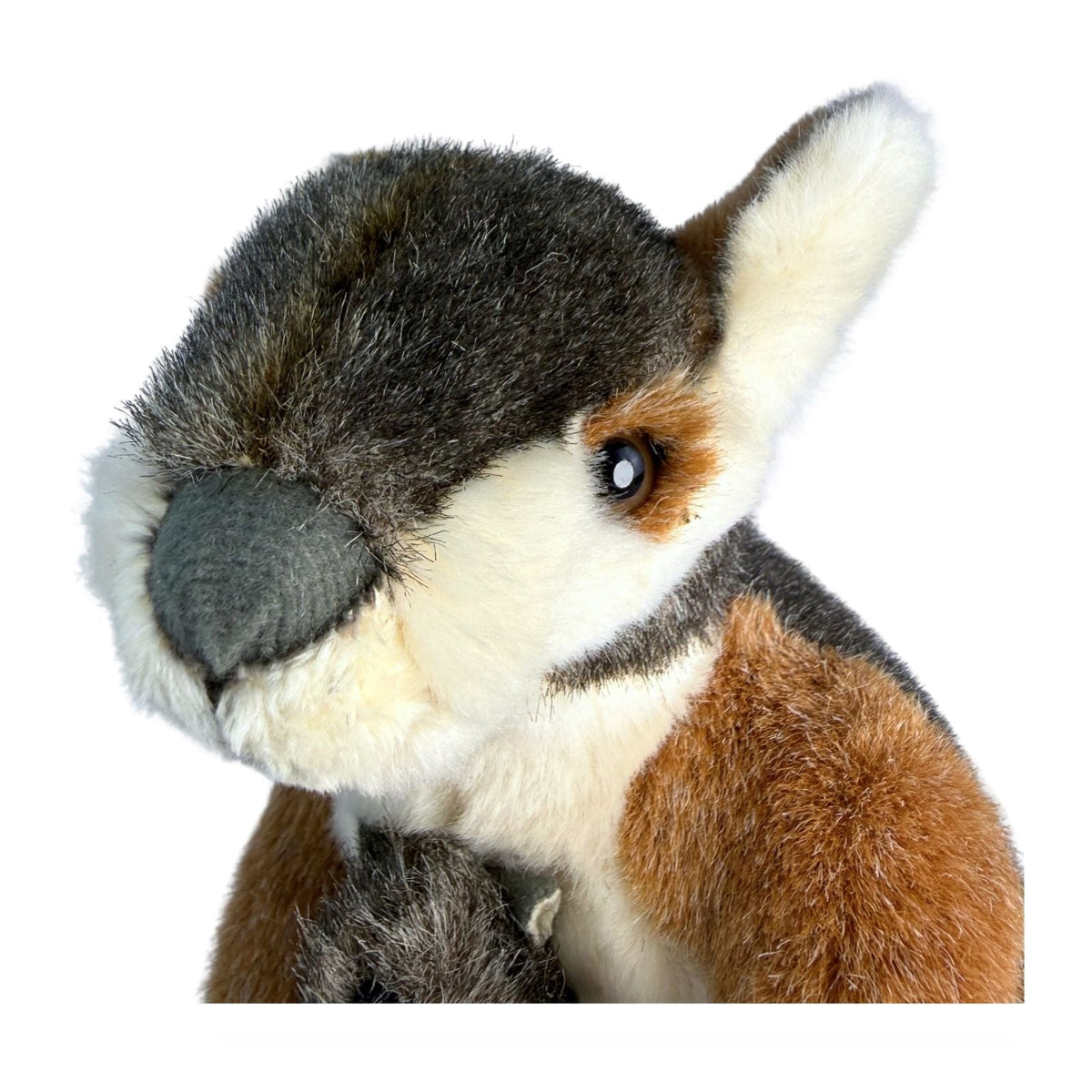 Bocchetta Wattle 30cm Rock Wallaby with Joey Plush Toy (Australian Stuffed Animal Souvenir Gift)