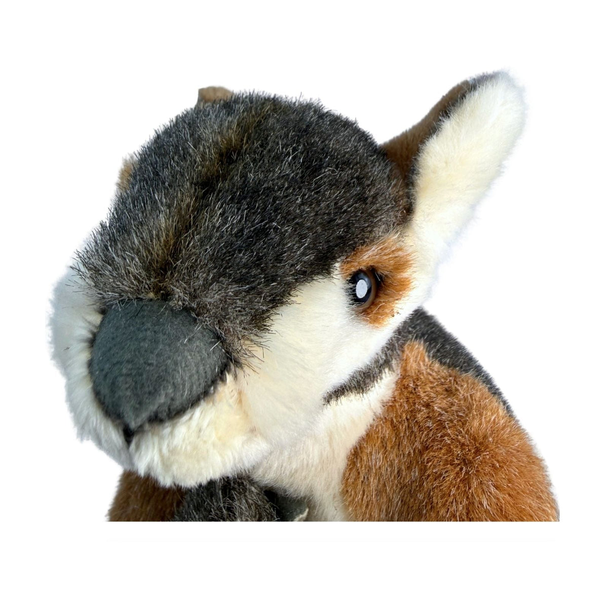 Bocchetta Wattle 30cm Rock Wallaby with Joey Plush Toy (Australian Stuffed Animal Souvenir Gift)