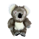 Bocchetta Wilber 27cm Sitting Koala Plush Toy - Grey (Australian Stuffed Animal Souvenir Gift)