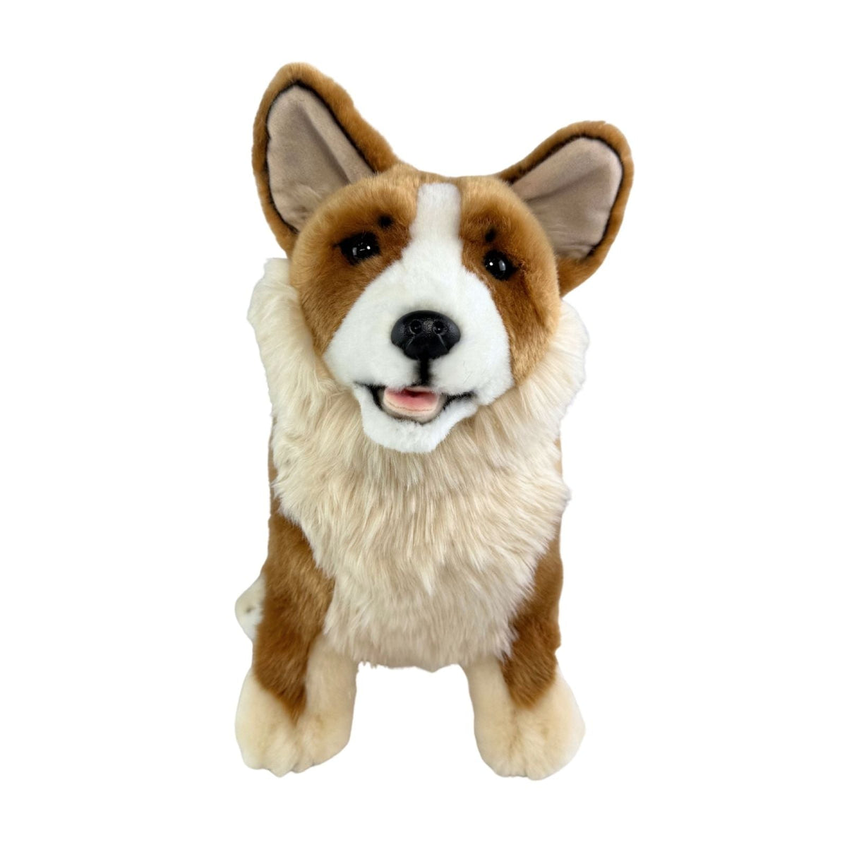 Bocchetta Windsor 23cm Sitting Welsh Corgi Plush Toy (Realistic Stuffed Animal Dog Gift)