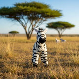 Bocchetta Zara 25cm Zebra Plush Toy (Realistic Stuffed Animal Wildlife Gift)