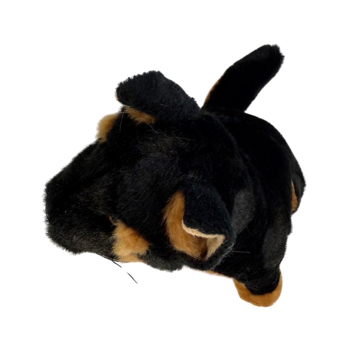 Bocchetta Zorro 21cm Sitting Dingo Plush Toy - Black/Tan (Australian Stuffed Animal Souvenir Gift)