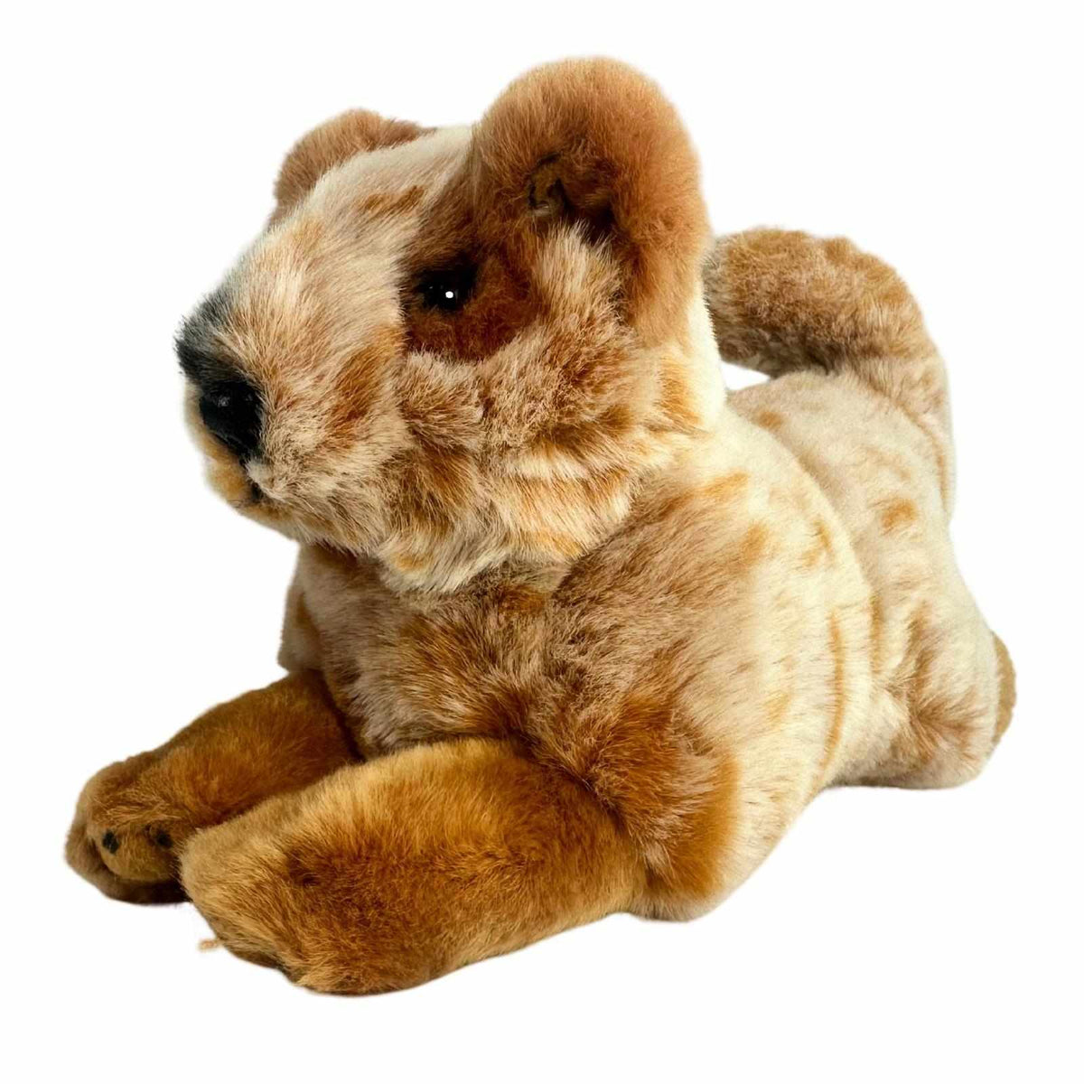 Bocchetta Flame 28cm Floppy Red Heeler Cattle Dog Puppy Plush Toy (Australian Stuffed Animal Gift)