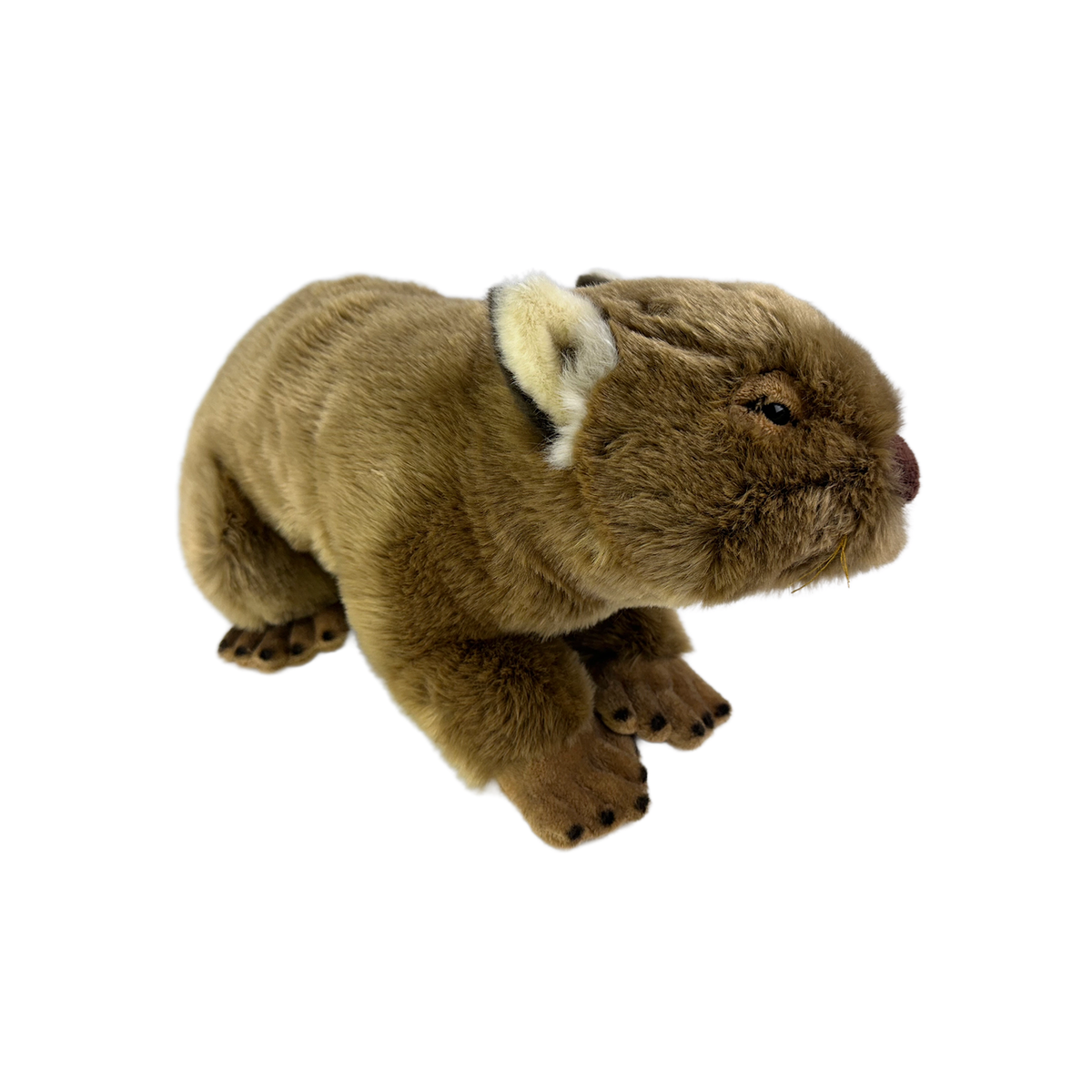 Bocchetta Georgina 42cm 2kg Weighted Wombat Doorstop Plush Toy (Australian Stuffed Animal Souvenir Gift)