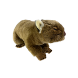 Bocchetta Georgina 42cm 2kg Weighted Wombat Doorstop Plush Toy (Australian Stuffed Animal Souvenir Gift)