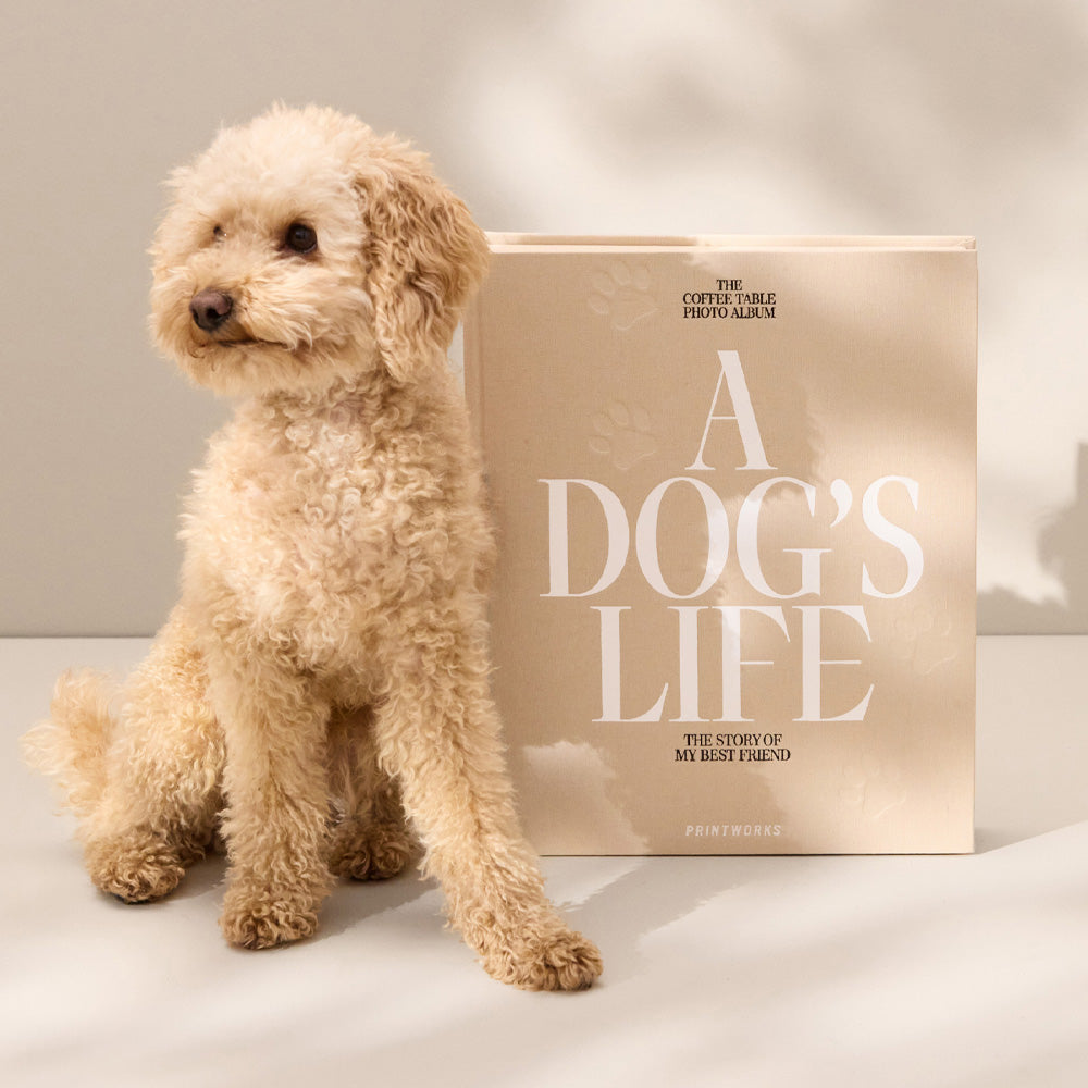 Printworks Dog Photo Album - A Dogs Life