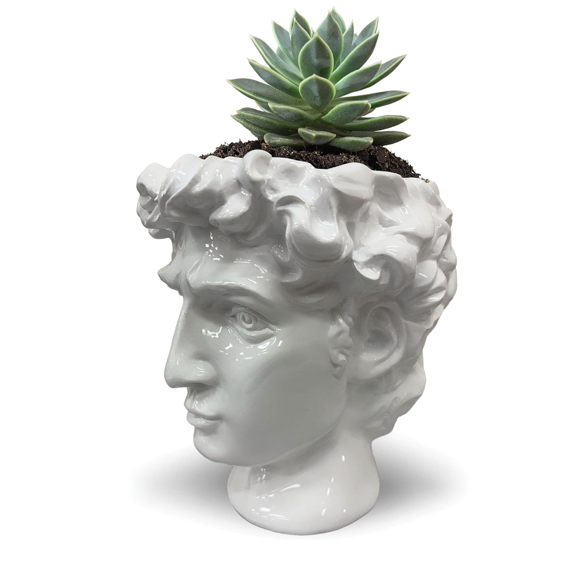Urban Attitude David Head Resin Planter - Matte White (Sculptural Plant Pot)