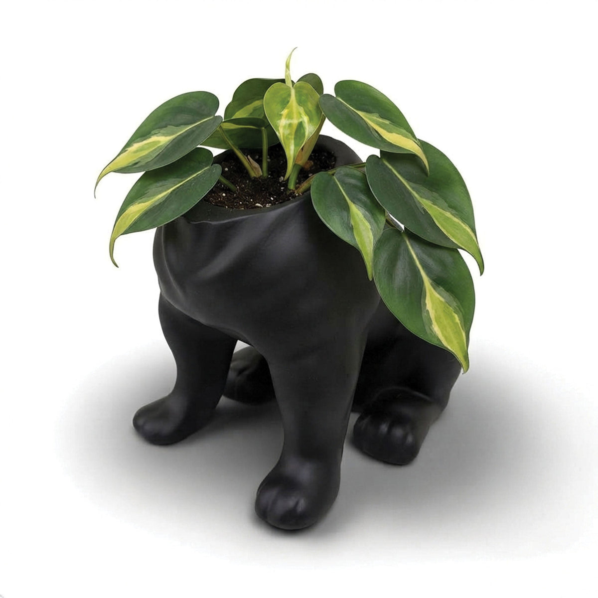 Urban Attitude Maggie French Bulldog Resin Planter - Matte Black (Sculptural Plant Pot)