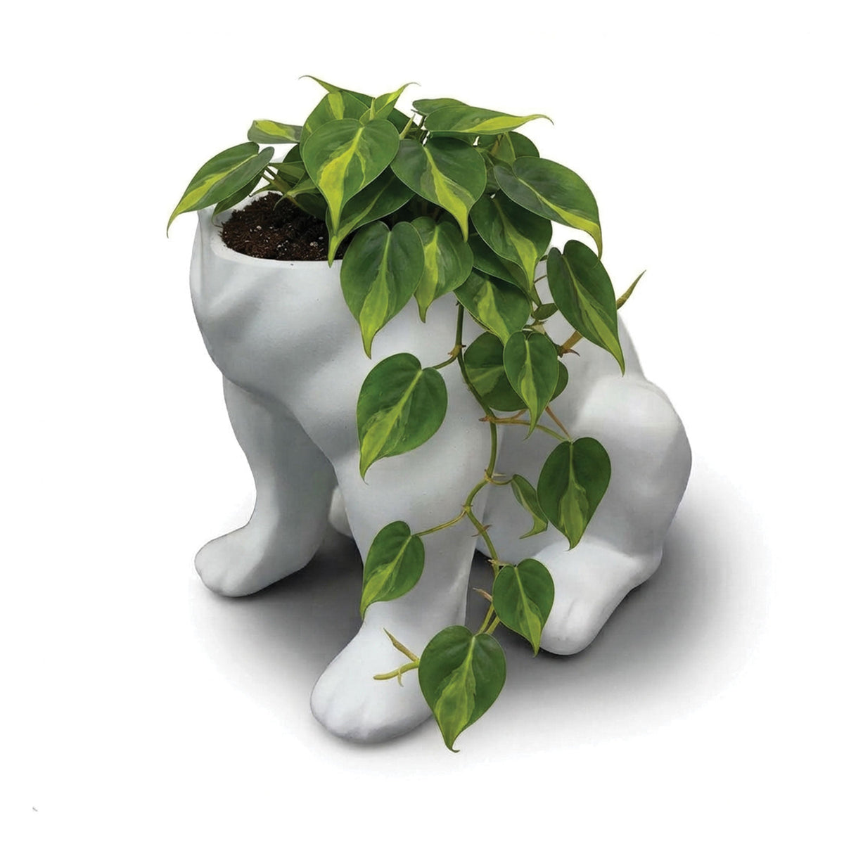 Urban Attitude Maggie French Bulldog Resin Planter - Matte White (Sculptural Plant Pot)