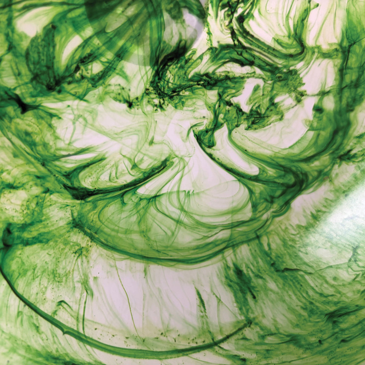 Urban Attitude JADE Medium Decorative Resin Bowl - Sage Mist (28cm L x 27cm W)