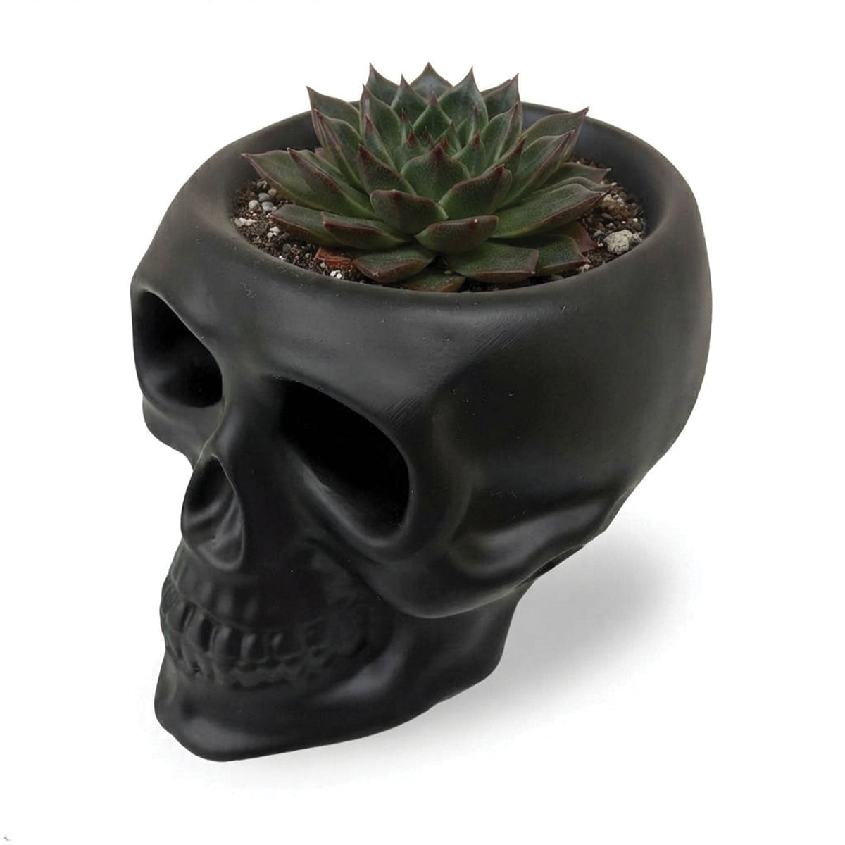 Urban Attitude Skull Resin Planter - Matte Black (Sculptural Plant Pot)