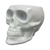 Urban Attitude Skull Resin Planter - Matte White (Sculptural Plant Pot)